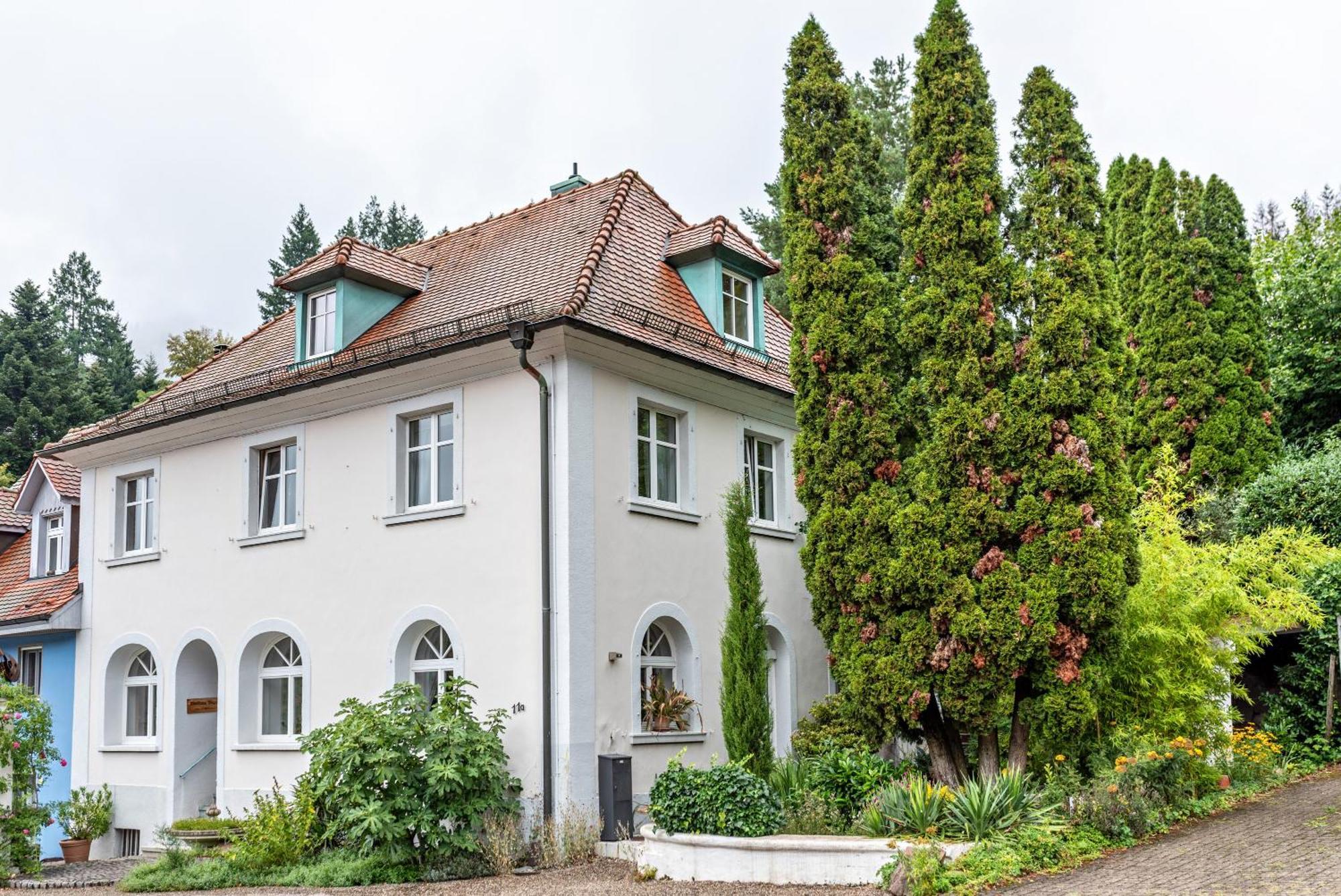 Appartement Waldhorn Badenweiler Exteriér fotografie